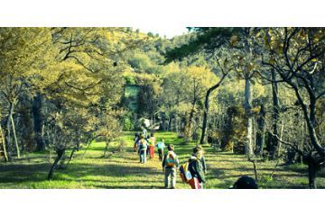 Foto presa da "https://www.parcomontebarro.it"