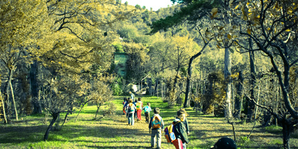 Foto presa da "https://www.parcomontebarro.it"
