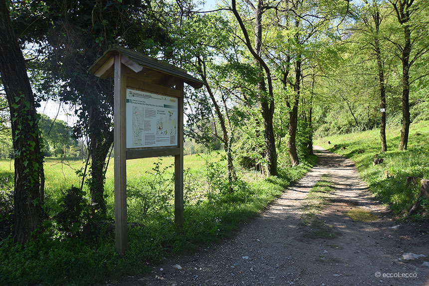 foto presa dal sito web "EccoLecco"